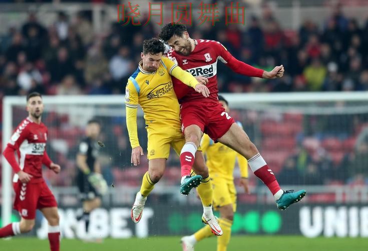 世界杯买球高手都在关注哪些细节