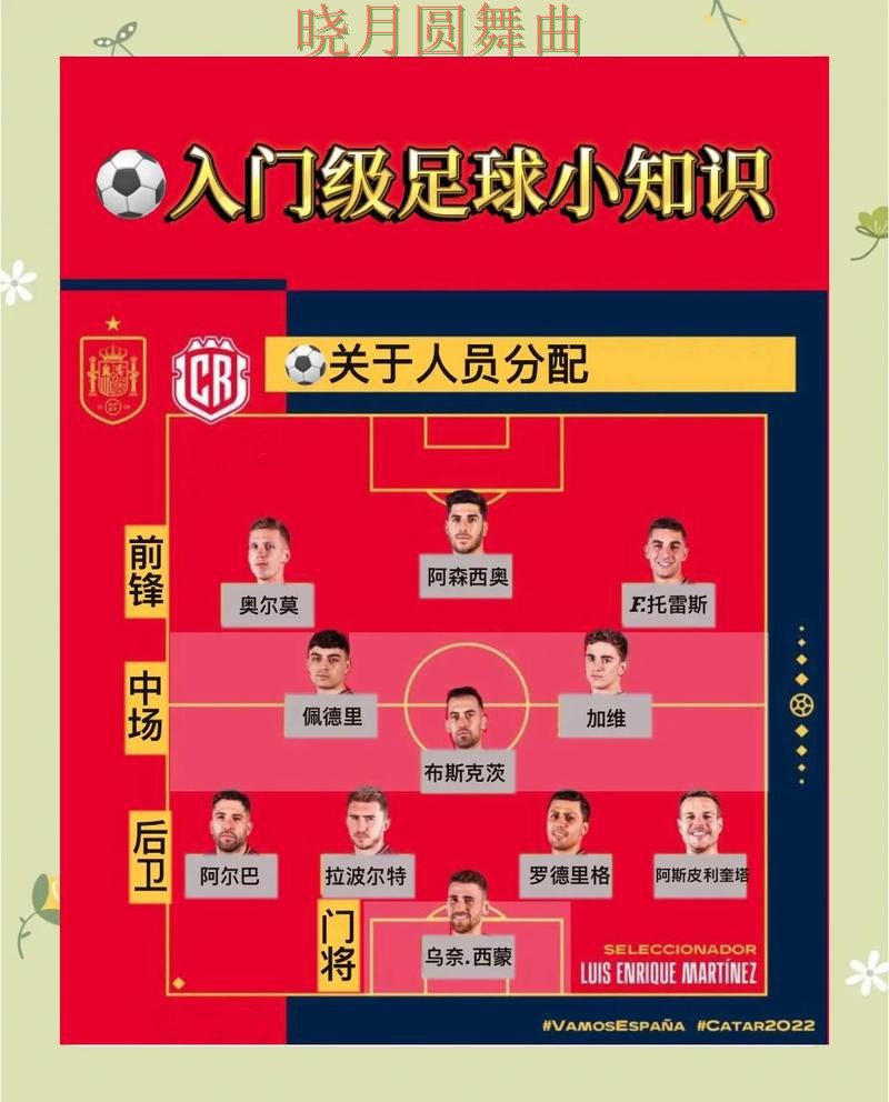 世界杯买球网站新手入门规则解析，详细教程整理
